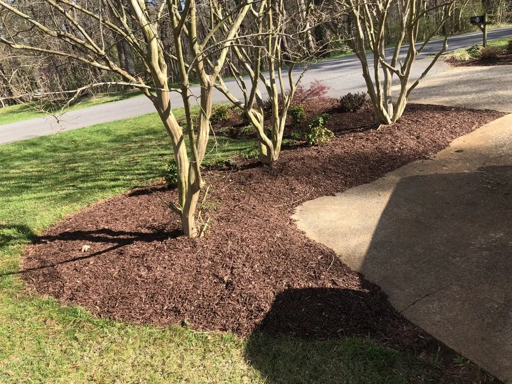 Reliable lawn mowing service for beautiful yards in Altavista, VA by Grass Monsters