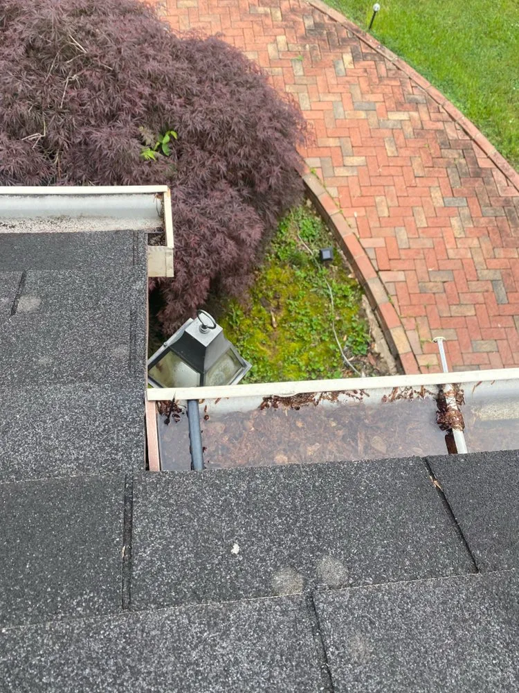 Trusted lawn care service in Altavista, VA by Grass Monsters