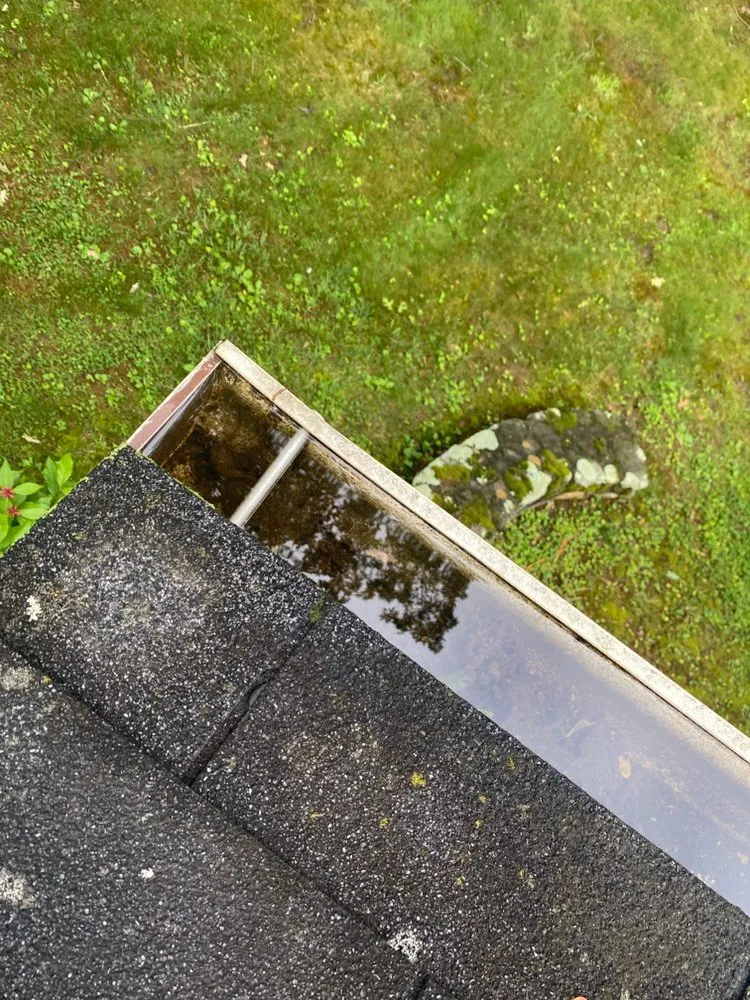 Top-rated residential landscaping in Altavista, VA - Grass Monsters