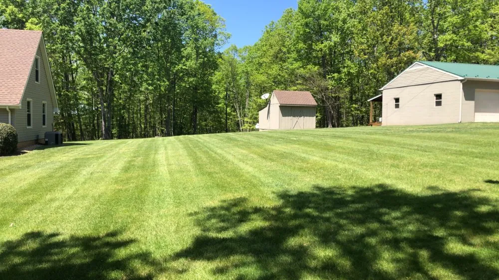 Expert landscaping services for year-round maintenance in Altavista, VA by Grass Monsters