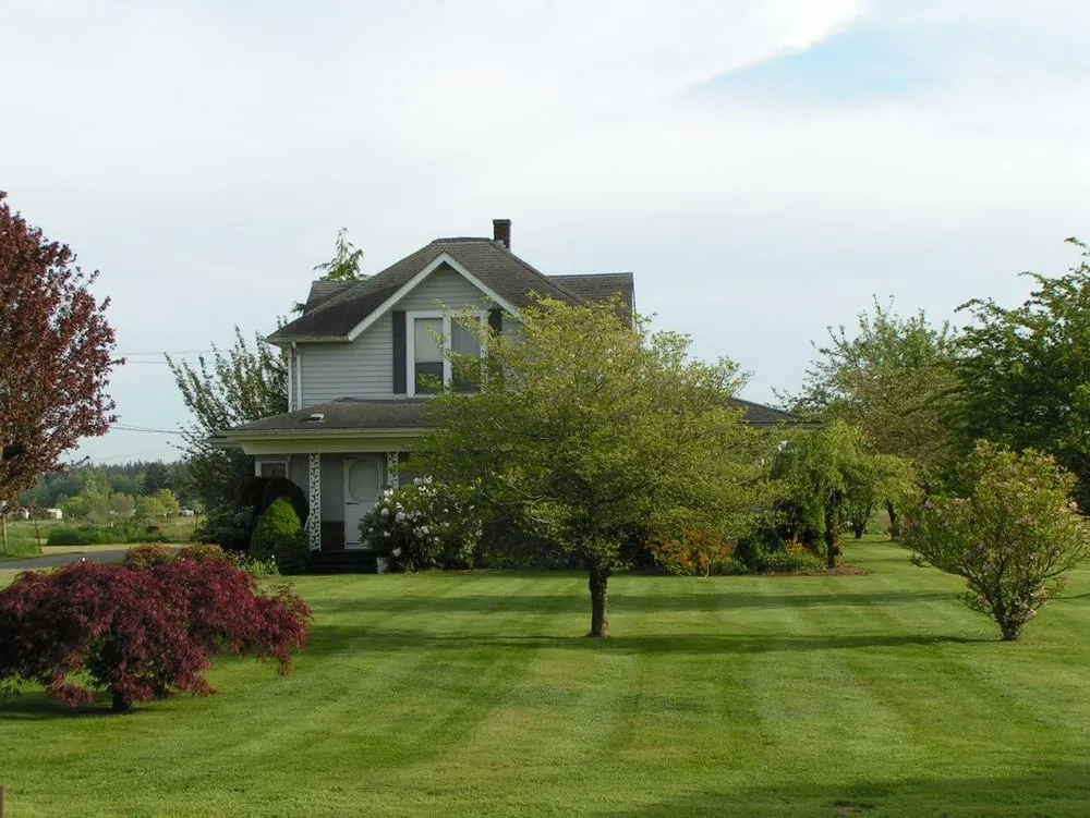 Affordable yard cleanup service in Louisville, KY - Grass Monsters/ Louisville Mowing Service