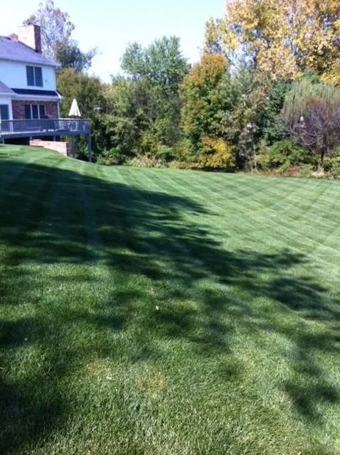 Trusted landscape installation with custom design across Louisville, KY - Grass Monsters/ Louisville Mowing Service