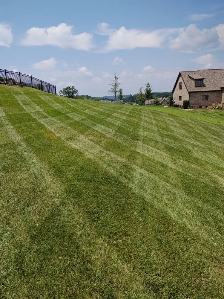 Custom yard cleanup service near you in Loudon, TN by Grass Munchers