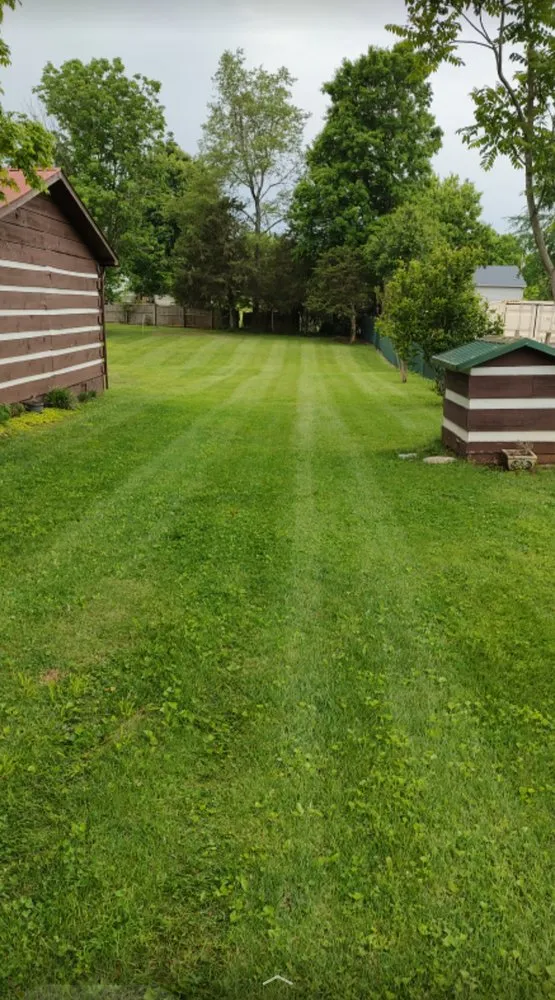 Trusted yard maintenance near you in Loudon, TN by Grass Munchers