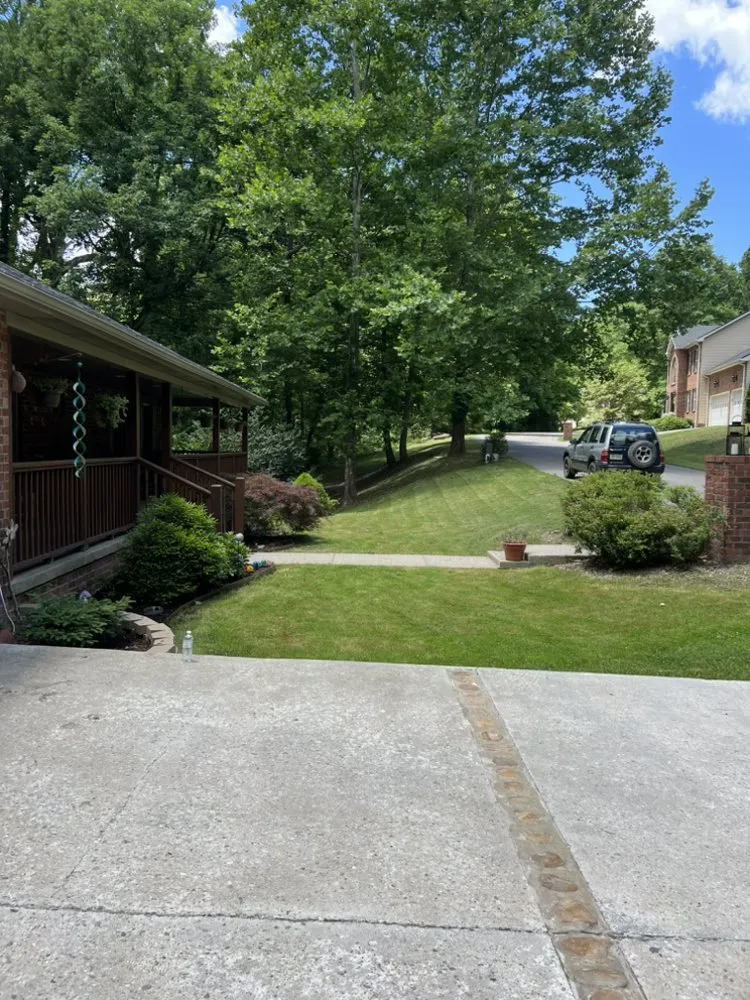 Trusted lawn mowing service for outdoor upgrades across South Charleston, WV - Grass N Junk Cash