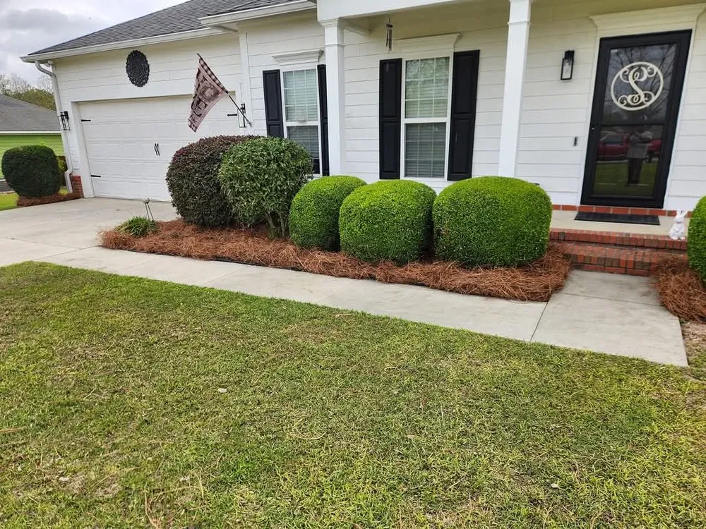 Custom yard maintenance in Leesburg, GA - Grass N Leaf Lawncare
