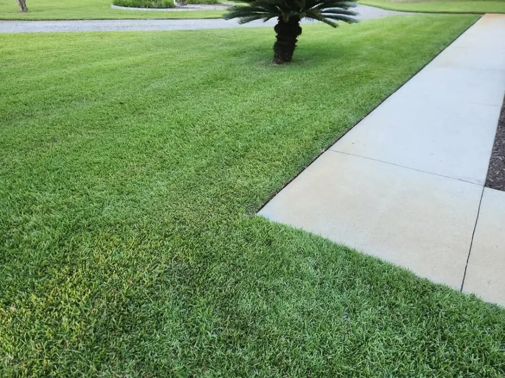 Expert landscaping services for beautiful yards across Leesburg, GA - Grass N Leaf Lawncare