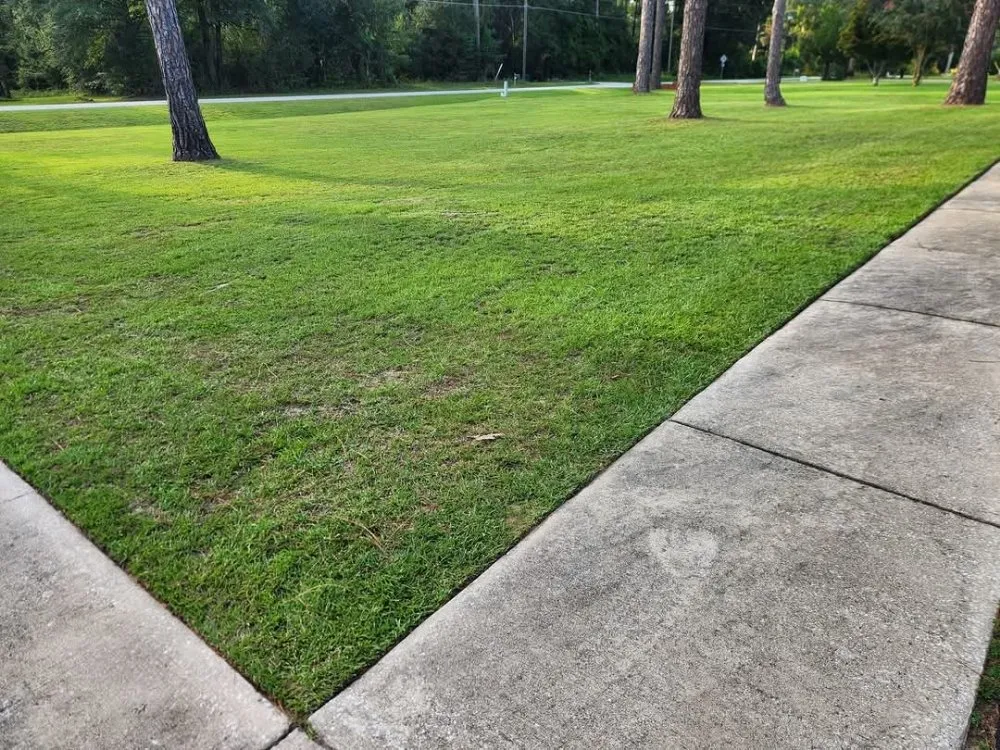 Reliable garden landscaping in Leesburg, GA by Grass N Leaf Lawncare