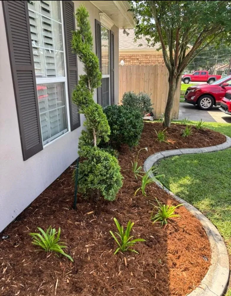 Reliable yard maintenance in Montz, LA by Grass N Scapes