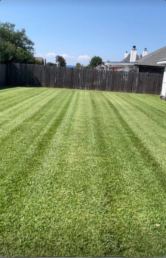 Top-rated yard cleanup service experts serving Montz, LA - Grass N Scapes
