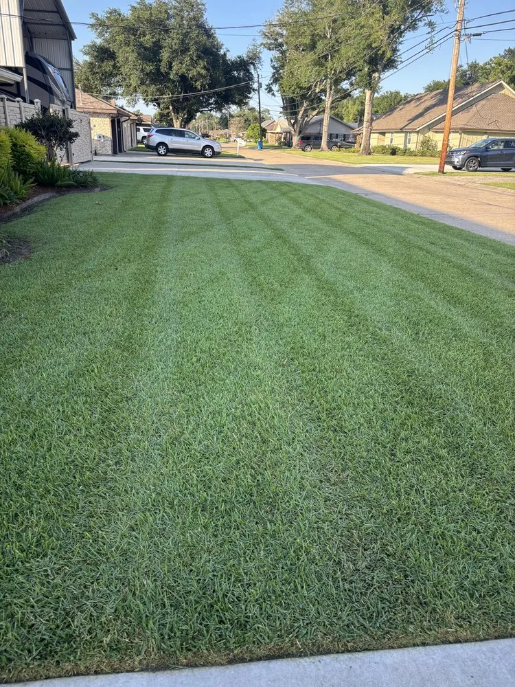 Expert lawn care service experts serving Montz, LA - Grass N Scapes