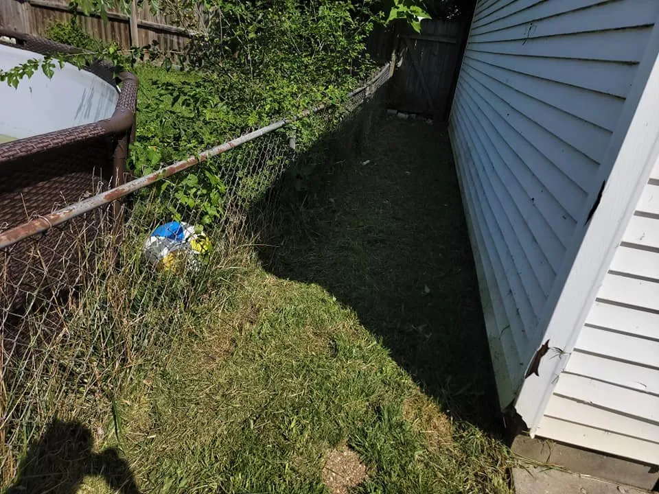 Top-rated outdoor landscaping experts serving Indianapolis, IN - Grass N Stuff