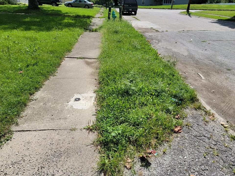 Local outdoor landscaping in Indianapolis, IN - Grass N Stuff