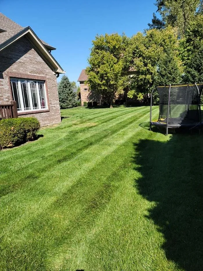 Expert lawn care service in Indianapolis, IN by Grass N Stuff