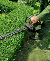 Trusted lawn mowing service in Sebastian, FL by Grass N' Stuff