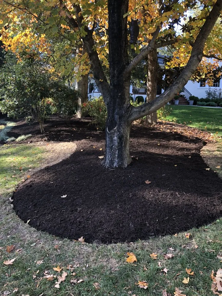 Professional landscape design in Highland Springs, VA - Grass N Things