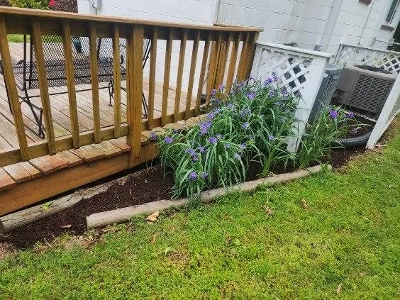 Top-rated outdoor landscaping near you across Highland Springs, VA - Grass N Things