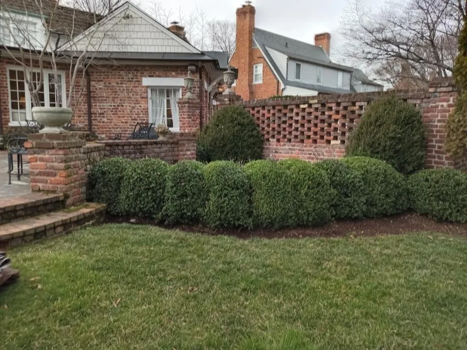 Professional yard maintenance experts serving Highland Springs, VA - Grass N Things