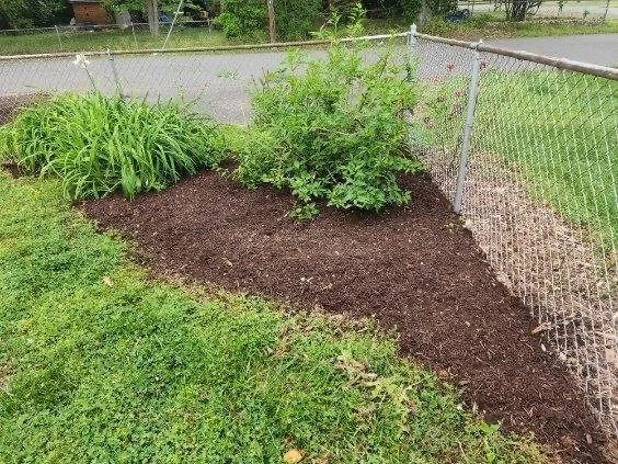 Trusted landscape design experts serving Highland Springs, VA - Grass N Things