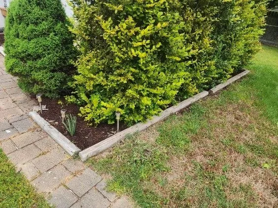 Affordable outdoor landscaping in Highland Springs, VA by Grass N Things