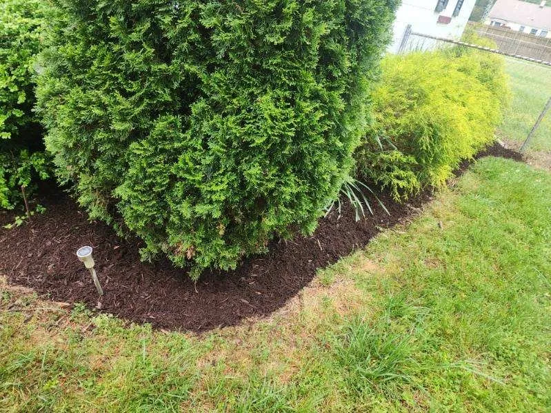 Local yard maintenance in Highland Springs, VA by Grass N Things