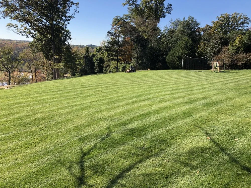 Reliable yard cleanup service for homes across Highland Springs, VA - Grass N Things