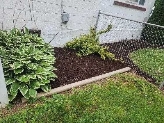 Trusted yard cleanup service in Highland Springs, VA - Grass N Things