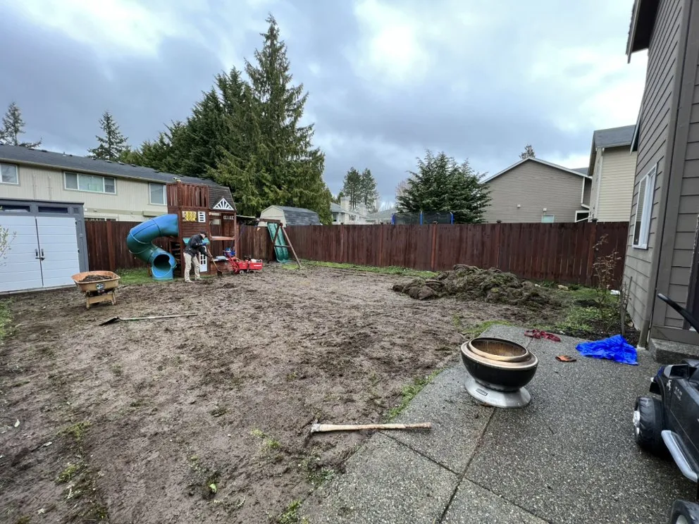 Top-rated lawn care service in Everett, WA by Grass n’ Trees Lawn Care Lanscaping