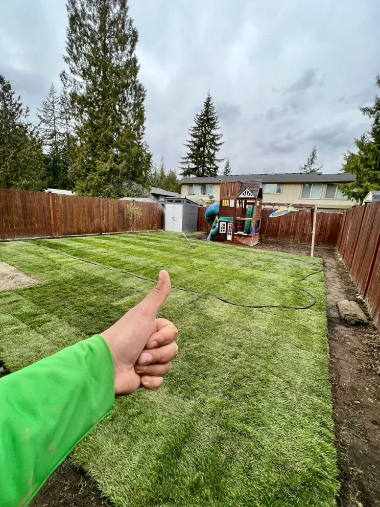 Top-rated landscaping services for beautiful yards across Everett, WA - Grass n’ Trees Lawn Care Lanscaping