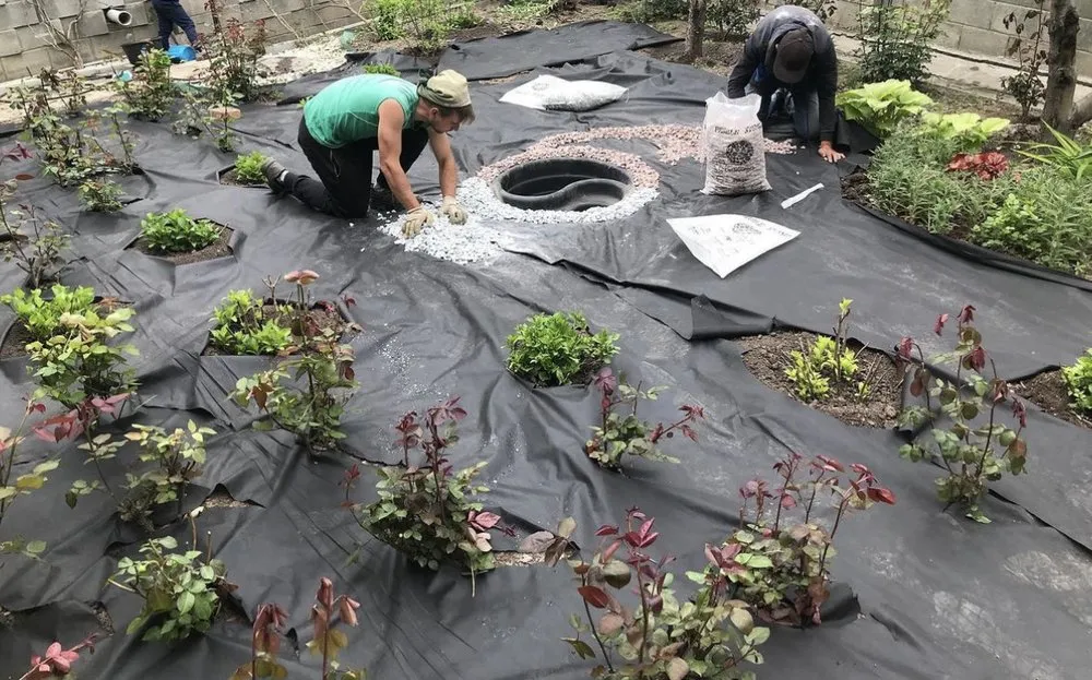 Affordable yard maintenance for residential properties in Everett, WA by Grass n’ Trees Lawn Care Lanscaping