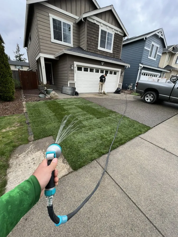 Top-rated lawn care service for homes across Everett, WA - Grass n’ Trees Lawn Care Lanscaping