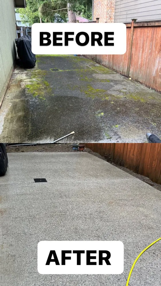 Affordable landscaping services experts serving Everett, WA - Grass n’ Trees Lawn Care Lanscaping