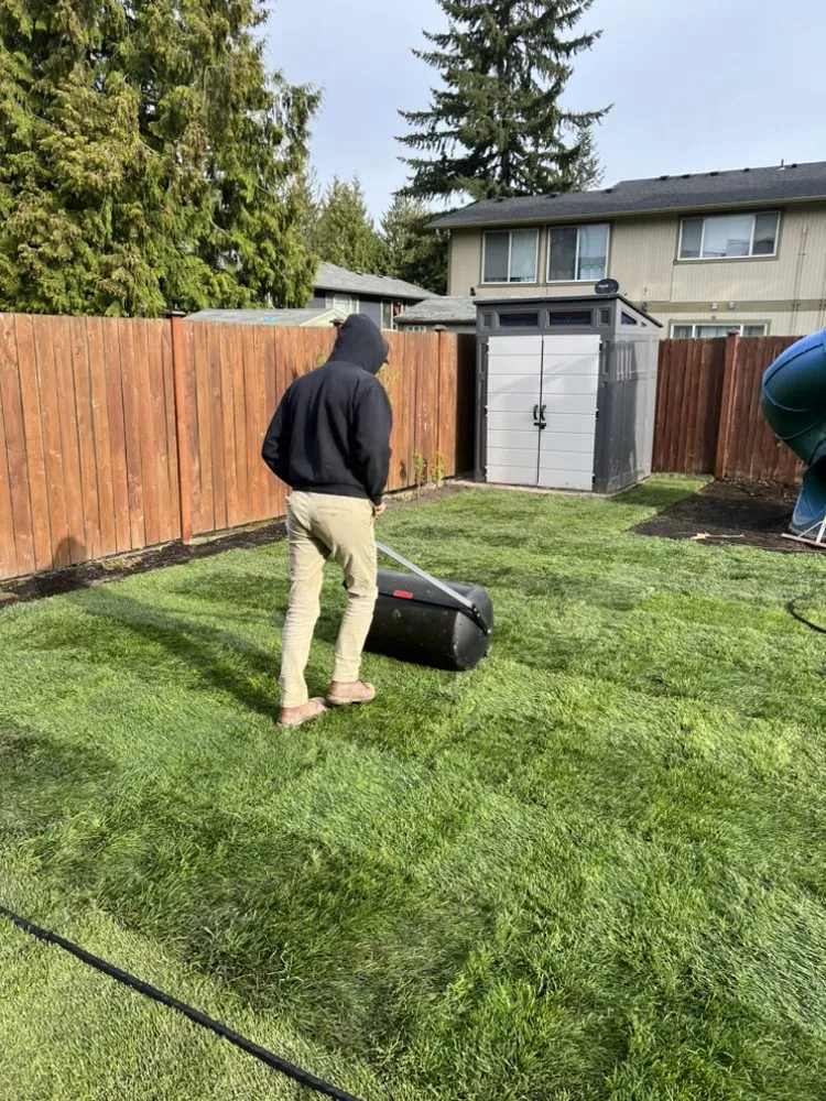 Trusted yard maintenance for beautiful yards in Everett, WA by Grass n’ Trees Lawn Care Lanscaping