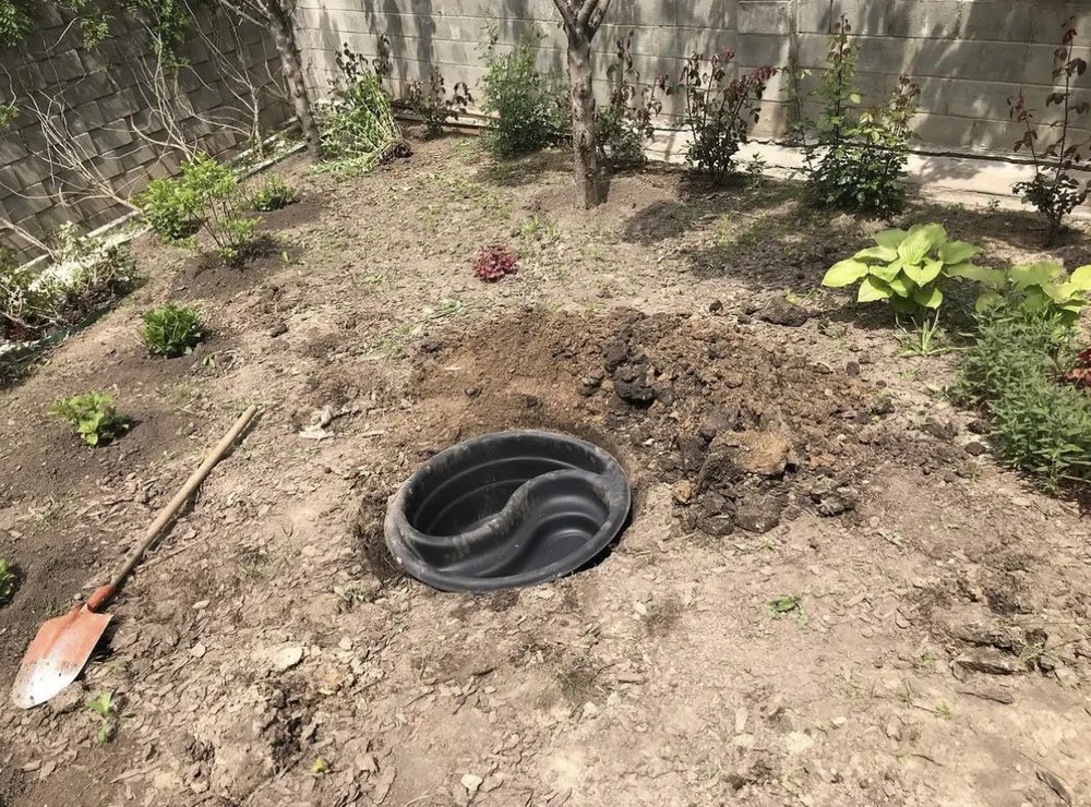 Top-rated outdoor landscaping experts serving Everett, WA - Grass n’ Trees Lawn Care Lanscaping