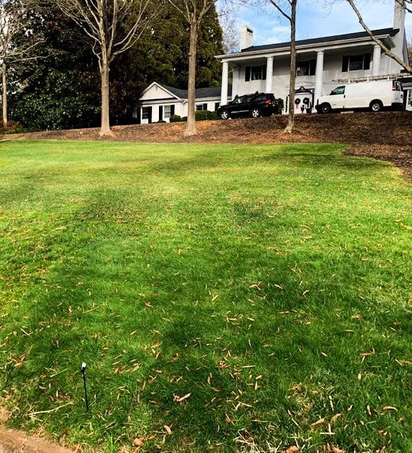 Affordable garden landscaping for outdoor upgrades across Greenville, SC - Grass Nerds