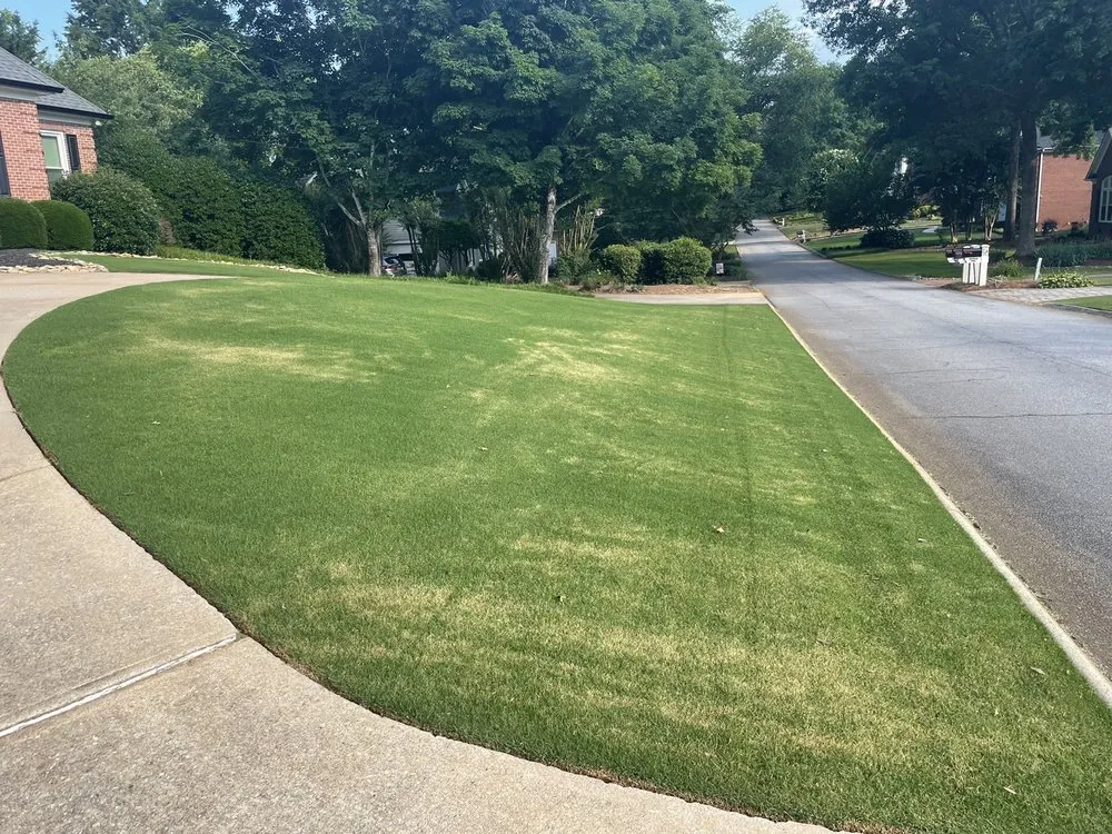 Affordable yard cleanup service experts serving Greenville, SC - Grass Nerds