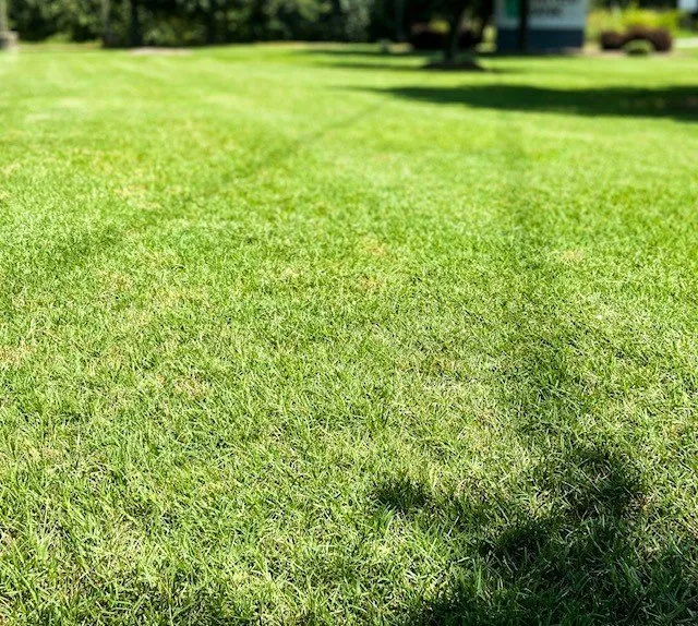 Trusted landscape installation in Greenville, SC by Grass Nerds