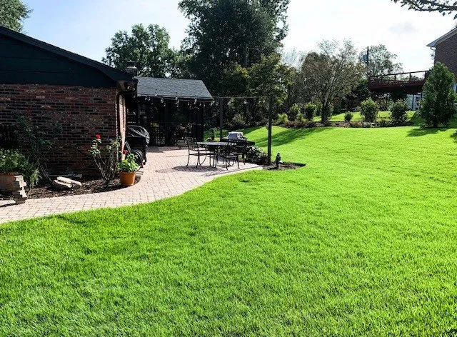 Expert lawn care service for outdoor upgrades in Greenville, SC by Grass Nerds