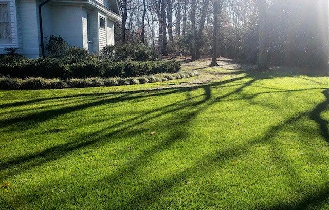 Custom yard cleanup service for outdoor upgrades in Greenville, SC by Grass Nerds