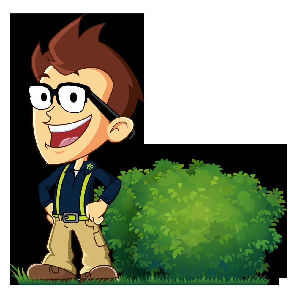 Professional landscape design in Greenville, SC - Grass Nerds