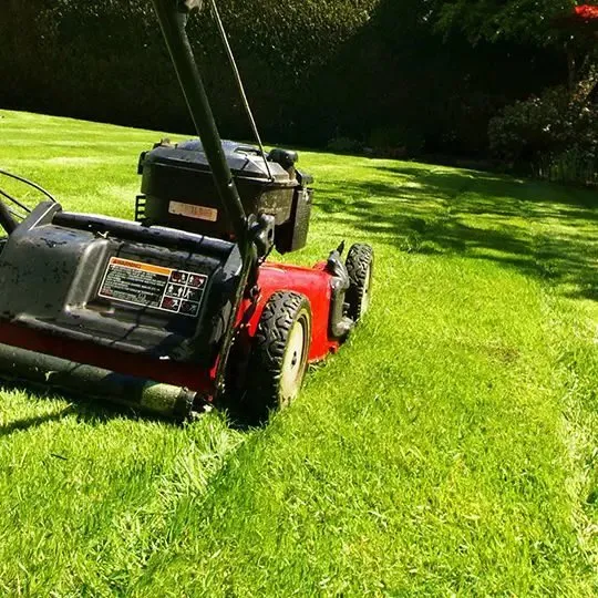 Reliable landscape installation for year-round maintenance in Dagsboro, DE by Grass Ninja