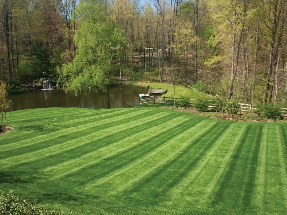 Reliable lawn care service in Dagsboro, DE by Grass Ninja