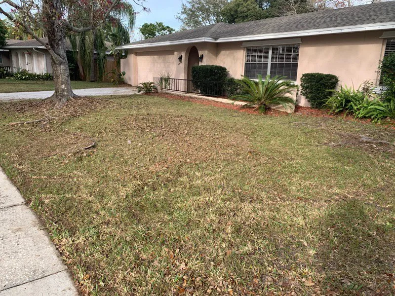 Custom garden landscaping in Perry, GA by Grass Ninjs care