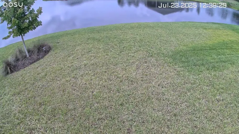 Reliable lawn mowing service for homes across Fernandina Beach, FL - Grass On The Grow