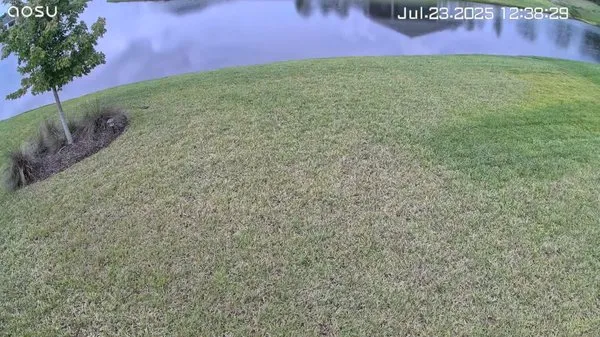 Grass On The Grow Logo