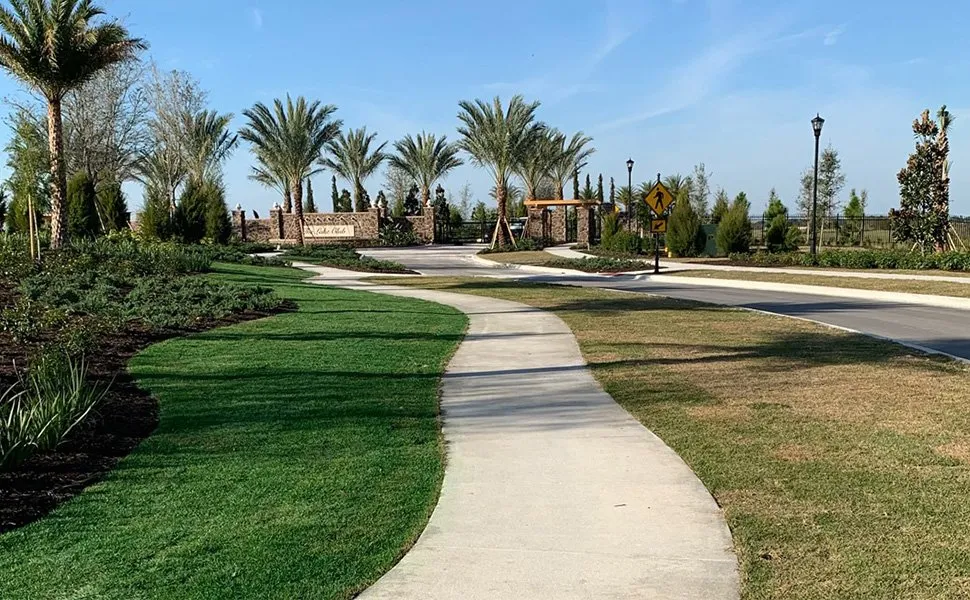 Reliable yard cleanup service in Los Angeles, CA by Grass paint near me