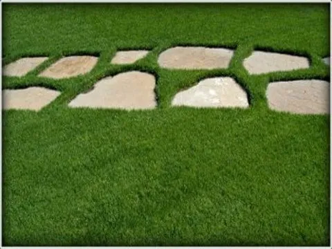 Professional outdoor landscaping in Mandeville, LA by Grass Patch Lawns & Landscape
