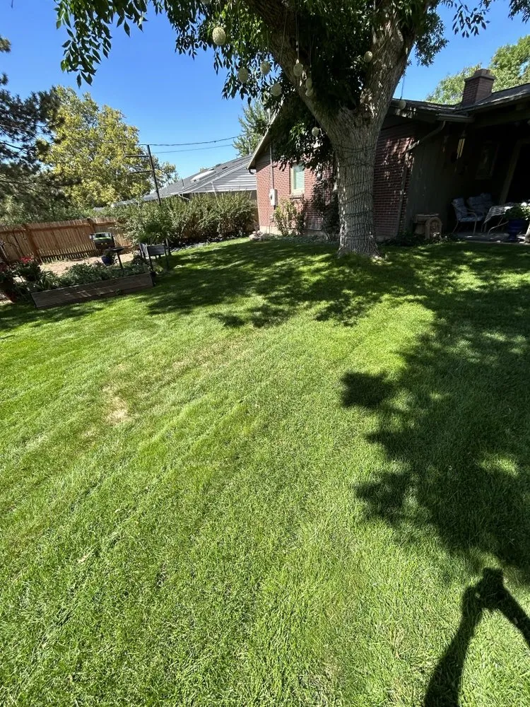 Custom yard cleanup service for year-round maintenance across Salt Lake City, UT - Grass Pro Shops