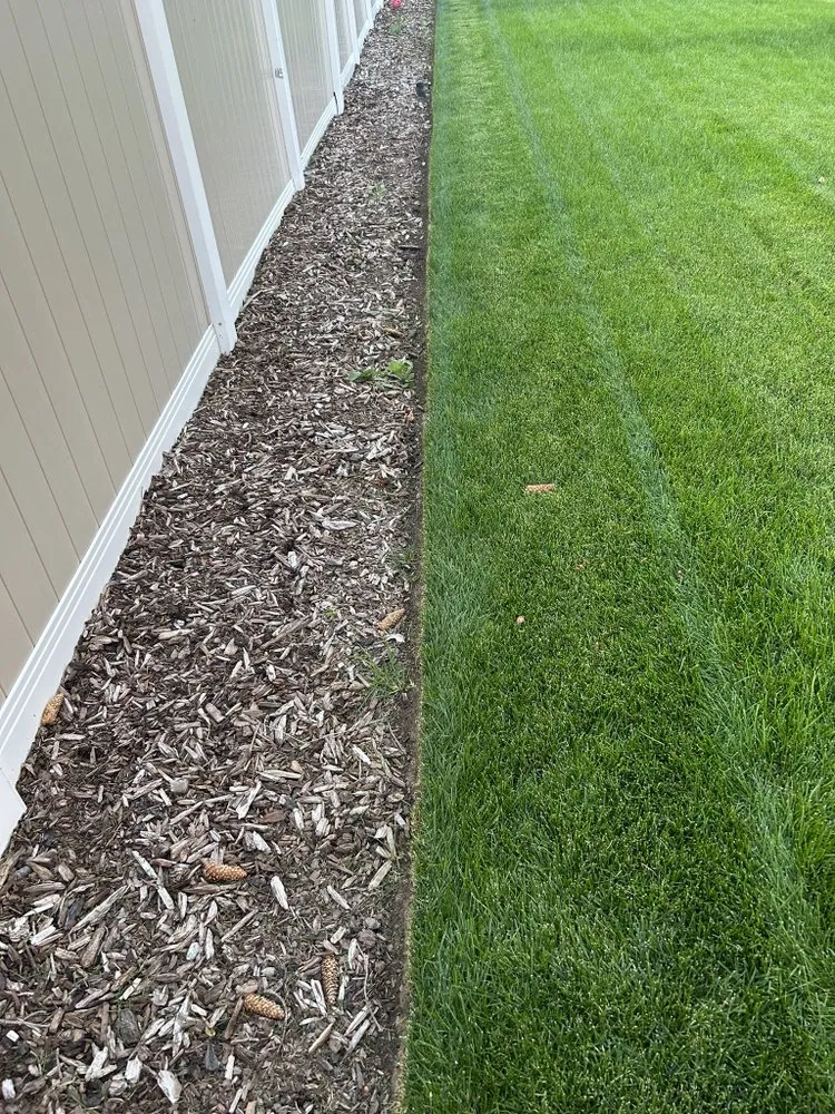 Trusted yard maintenance for year-round maintenance in Salt Lake City, UT by Grass Pro Shops