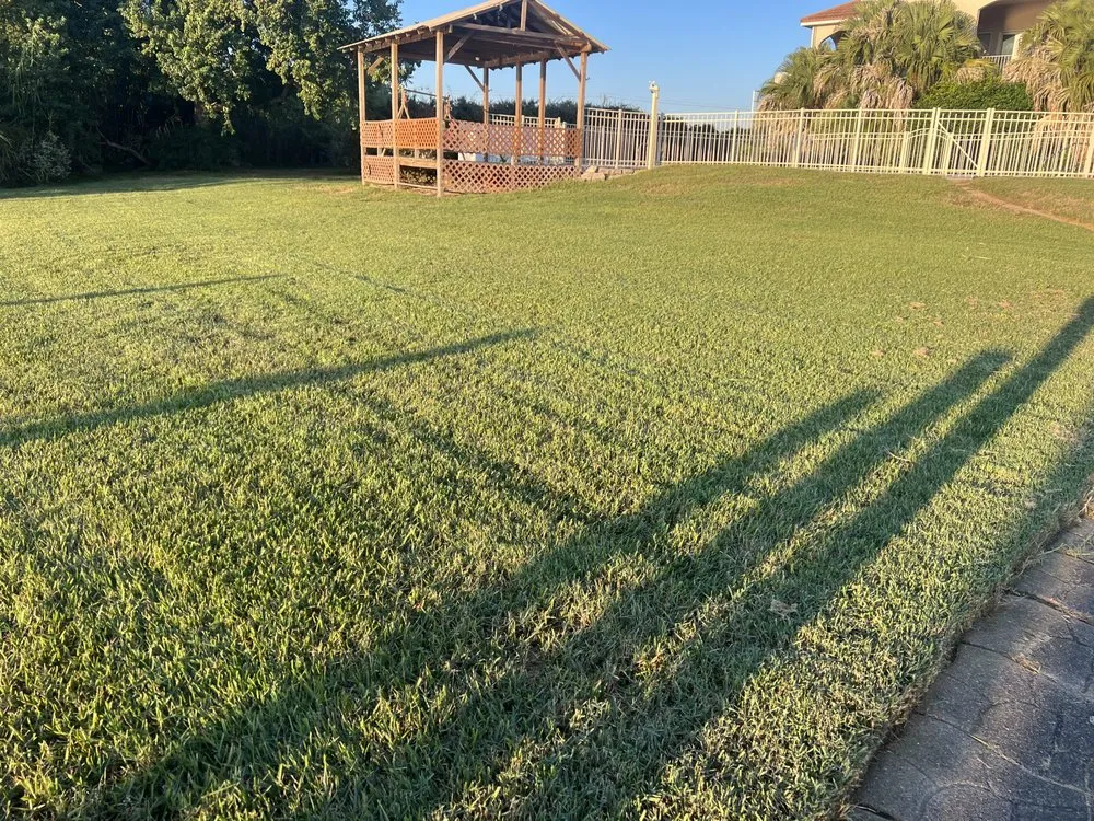 Trusted yard maintenance experts serving Slidell, LA - Grass Pro